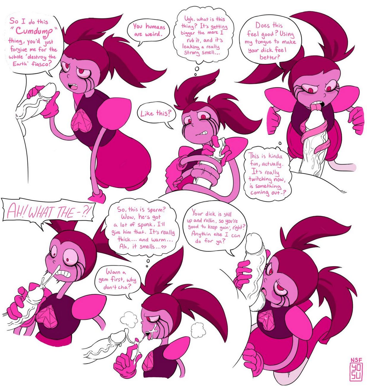 Spinel039s Apology